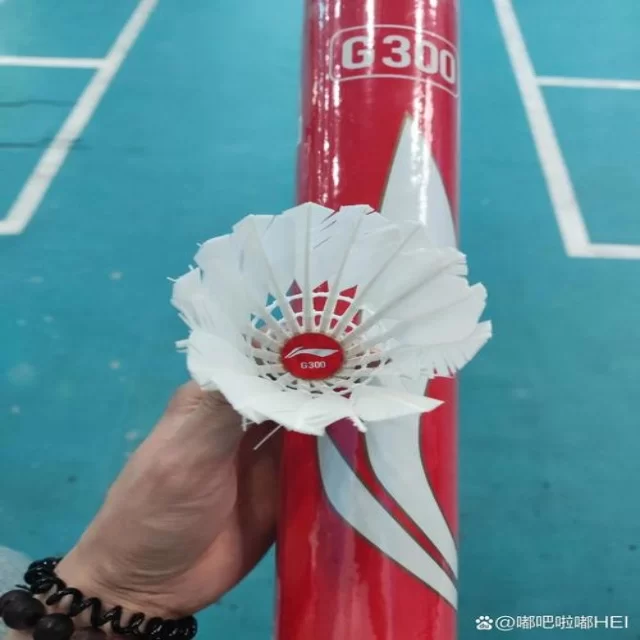 媒体聚焦年轻化趋势的全景式盘点与探讨